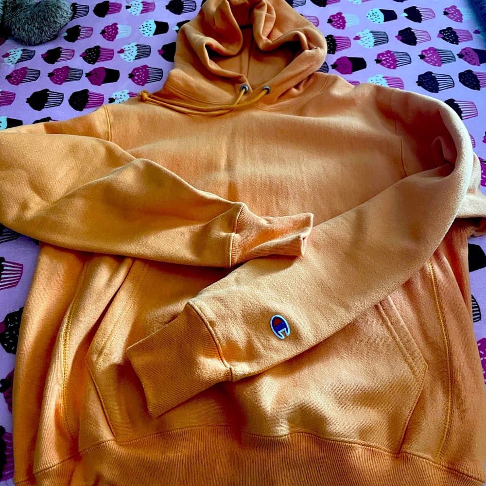 champion reverse weave hoodie.